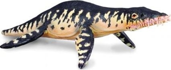 Picture of Figurka Collecta *DINOZAUR LIOPLEURODON