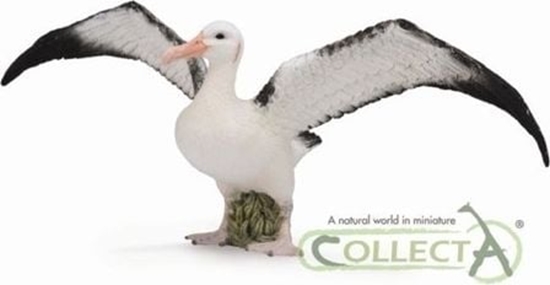 Изображение Figurka Collecta Albatros Wdrowny