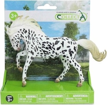 Изображение Figurka Collecta COLLECTA KO NA PLATFORMIE KLACZ KNABSTRUPPER