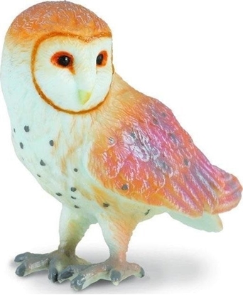 Изображение Figurka Collecta Sowa pomykówka