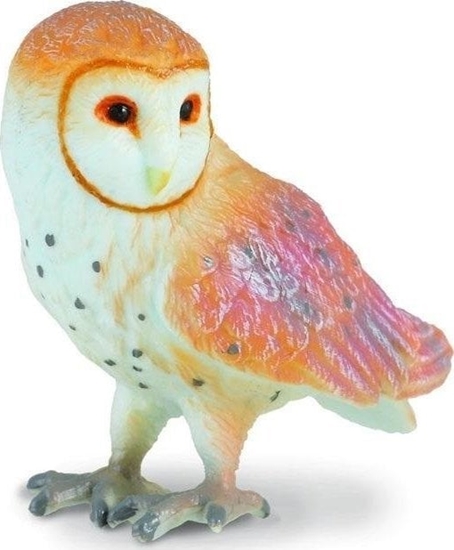 Picture of Figurka Collecta Sowa pomykówka
