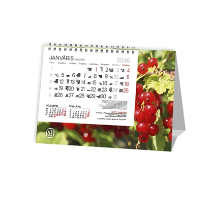 Attēls no Galda plānotājs 2026.gadam EKO TENT Vasara, piramīdveidīgs ar spirāli