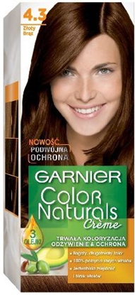 Изображение Garnier Color Naturals Krem koloryzujcy nr 4.3 Zoty Brz