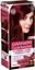 Изображение Garnier Color Sensation Krem koloryzujcy 4.60 Red Brown- Intensywna ciemna czerwie