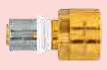 Picture of Herz Zczka prosta 20x2Rp1/2 z gwintem wewntrznym - P 7020 21