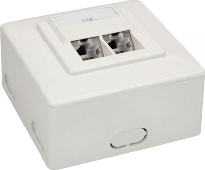 Изображение InLine Gniazdo Cat.5e 2x RJ45, RAL 9010 biay (74202D)