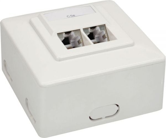 Picture of InLine Gniazdo Cat.5e 2x RJ45, RAL 9010 biay (74202D)