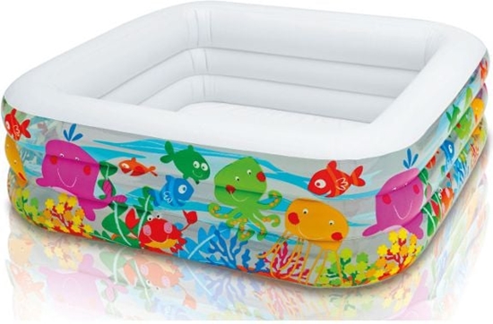 Изображение Intex Basen ogrodowy 159 x 159 x 50 cm - 57471