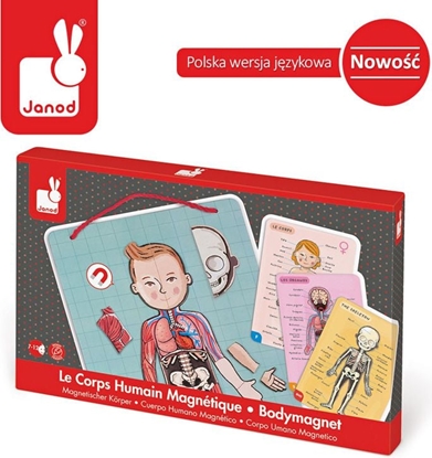 Изображение Janod Ukadanka magnetyczna Ciao czowieka (J05491)