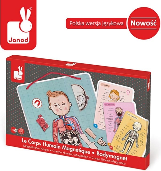 Изображение Janod Ukadanka magnetyczna Ciao czowieka (J05491)