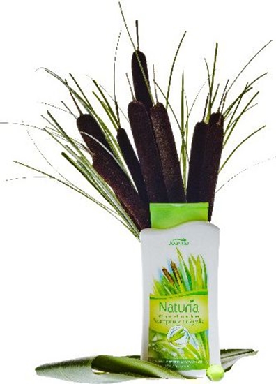 Picture of Joanna Naturia Szampon do wosów tatarak 2w1 500 ml