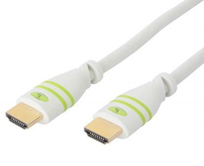 Attēls no Kabel Techly HDMI - HDMI 10m biay (306943)