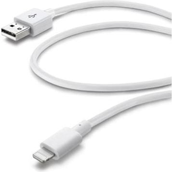 Picture of Kabel USB Cellular Line USB-A - 1 m Biay (CUSBDATACMFIIPH5W)