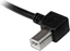 Изображение Kabel USB StarTech USB-A - USB-B 2 m Czarny (USBAB2ML)