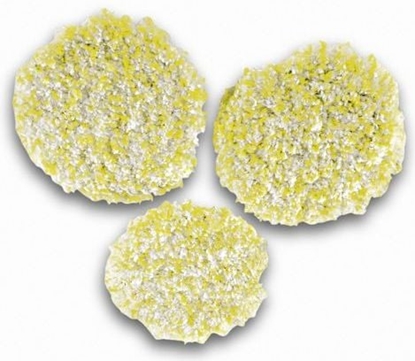 Attēls no Karcher Pady polerujce do kamienia/linoleum/PCV (2.863-198.0)