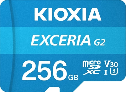 Изображение Karta Kioxia Exceria G2 SDHC 256 GB Class 10 UHS-I U3 A1 V30 (LMEX2L256GG2)