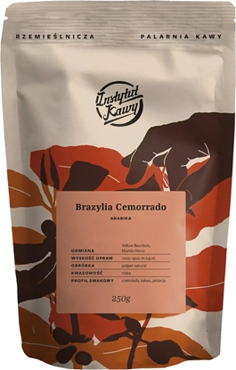 Изображение Kawa ziarnista Instytut Kawy Brazylia Cemorrado 250 g
