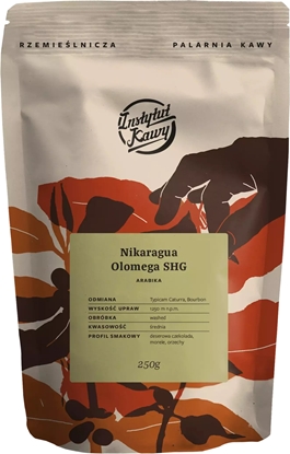 Изображение Kawa ziarnista Instytut Kawy Nikaragua Olomega SHG 250 g