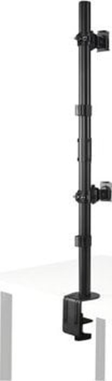 Изображение Kensington Uchwyt biurkowy na 2 monitory do 32" (K53802WW)