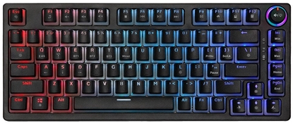 Picture of Klawiatura Savio Phenix Gateron Red Pro Pudding