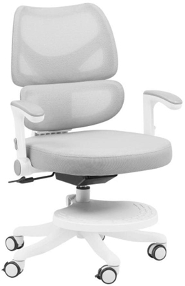 Picture of Krzeso biurowe MarkAdler Junior 5.3 Szare