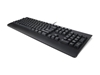 Picture of LENOVO PREFERRED II PRO USB KEYBOARD US EURO (COPILOT)