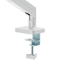 Picture of Monitora stiprinājums Gembird 17"-32" White
