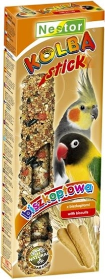Picture of Nestor KOLBA PAPUGA REDNIA BISZKOPT
