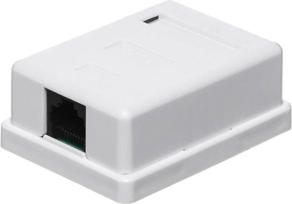 Изображение NetRack gniazdo kompletne natynkowe 1xRJ45 8p8c - (106-20)