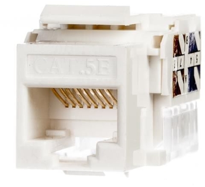 Изображение NetRack modu Keystone Jack 1xRJ45 8p8c UTP Cat5e LSA z zaciskiem, biay (105-02)