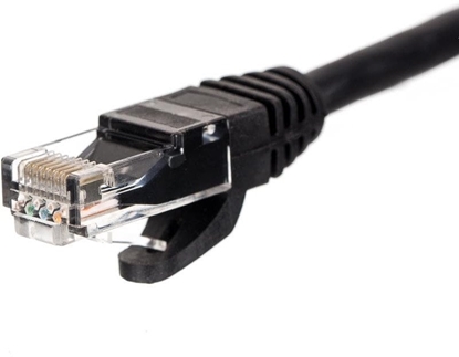 Picture of NetRack Patchcord UTP kat.5e 0,5m czarny (BZPAT05UK)