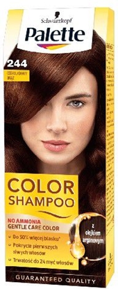 Изображение Palette Color Shampoo Szampon koloryzujcy nr 244 Czekoladowy Brz 1op. - 68160559
