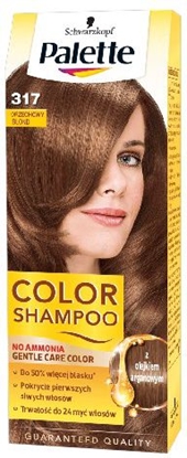 Изображение Palette Color Shampoo Szampon koloryzujcy nr 317 Orzechowy Blond