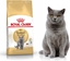 Picture of Royal Canin British Shorthair karma sucha dla kotów dorosych rasy brytyjskiej krótkowosej 4kg