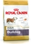 Picture of Royal Canin Bulldog Adult karma sucha dla psów dorosych rasy bulldog 12 kg