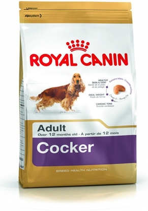 Picture of Royal Canin Cocker Spaniel Adult karma sucha dla psów dorosych rasy cocker spaniel 12 kg