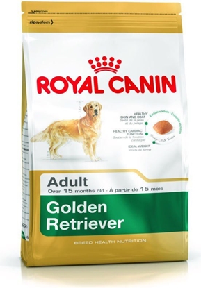 Picture of Royal Canin Golden Retriever Adult karma sucha dla psów dorosych rasy golden retriever 12 kg