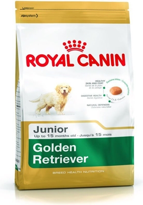 Picture of Royal Canin Golden Retriever Junior karma sucha dla szczenit do 15 miesica, rasy golden retriever 12 kg