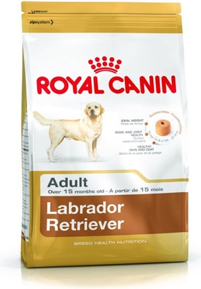 Attēls no Royal Canin Labrador Retriever Adult karma sucha dla psów dorosych rasy labrador retriever 12kg