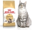 Picture of Royal Canin Maine Coon Adult karma sucha dla kotów dorosych rasy maine coon 4 kg