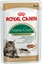 Picture of Royal Canin Maine Coon karma mokra w sosie dla kotów dorosych rasy maine coon 12x85g