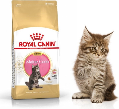 Attēls no Royal Canin Maine Coon Kitten karma sucha dla kocit, do 15 miesica, rasy maine coon 0.4kg