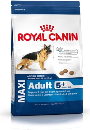 Attēls no Royal Canin Maxi Adult karma sucha dla psów dorosych, do 5 roku ycia, ras duych 5+ 15 kg