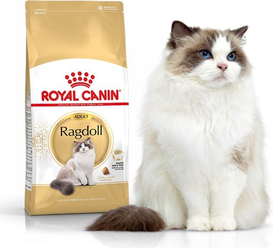 Picture of Royal Canin Ragdol Adult karma sucha dla kotów dorosych rasy ragdoll 2 kg