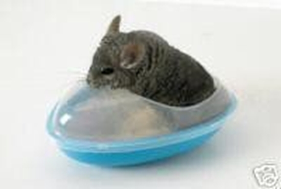 Picture of Savic Basen dla szynszyla