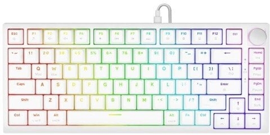Picture of Savio ASTRAL WHITE JADE klawiatura Gaming USB QWERTY Amerykaski midzynarodowy Biay