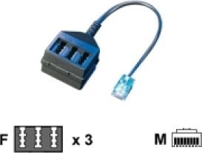 Изображение Secomp Adapter RJ45 - 3x TAE-NFN, 14cm (12.01.0533)