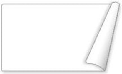 Изображение Seiko SLP-OPMRL 28 x 51mm, 2 szt. (42100639)