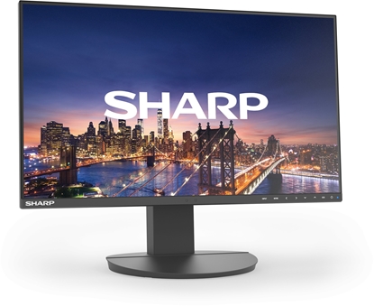 Picture of Sharp MultiSync EA241F monitor komputerowy 61 cm (24") 1920 x 1080 px Full HD LCD Czarny