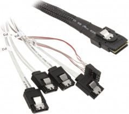 Picture of SilverStone SFF 8087 - SATA x4, 0.5m, Biay (SST-CPS03)